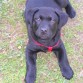 Brako 3 meses!!